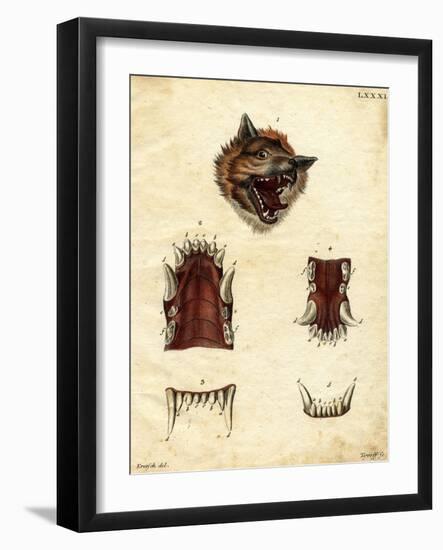 Wolf-null-Framed Giclee Print