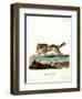 Wolf-null-Framed Giclee Print