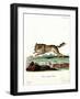 Wolf-null-Framed Giclee Print