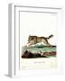 Wolf-null-Framed Giclee Print