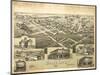 Wolfe City, Texas - Panoramic Map-Lantern Press-Mounted Art Print