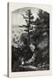 Wolfe's Cove., Canada, Nineteenth Century-null-Stretched Canvas