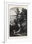 Wolfe's Cove., Canada, Nineteenth Century-null-Framed Giclee Print