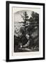 Wolfe's Cove., Canada, Nineteenth Century-null-Framed Giclee Print