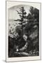 Wolfe's Cove., Canada, Nineteenth Century-null-Mounted Giclee Print