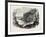 Wolfe's Cove, Quebec, Canada, 1870s-null-Framed Giclee Print