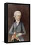 Wolfgang Amadeus Mozart, circa 1780 (Miniature) (Gouache, Tempera, Parchment)-Johann Nepomuk della Croce-Framed Stretched Canvas