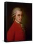 Wolfgang Amadeus Mozart, Posthumes Portrait, 1819-Barbara Krafft-Framed Stretched Canvas