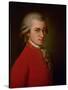 Wolfgang Amadeus Mozart, Posthumes Portrait, 1819-Barbara Krafft-Stretched Canvas