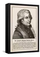 Wolfgang Amadeus Mozart the Austrian Composer-null-Framed Stretched Canvas