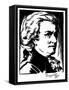 Wolfgang Amadeus Mozart-Samuel Nisenson-Framed Stretched Canvas