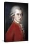 Wolfgang Amadeus Mozart-Barbara Krafft-Stretched Canvas