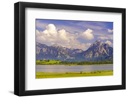 Premium Photographic Print, , large