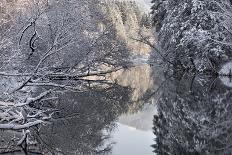 The Ammer and the Schleierfalle in Winter with Ice and Snow in the Allgau-Wolfgang Filser-Photographic Print