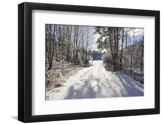 Premium Photographic Print, , large