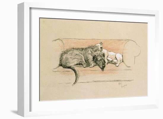 Wolfhound and Bull Terrier Asleep on a Sofa-Cecil Charles Windsor Aldin-Framed Giclee Print