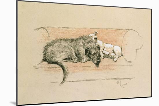 Wolfhound and Bull Terrier Asleep on a Sofa-Cecil Charles Windsor Aldin-Mounted Giclee Print