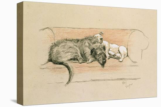 Wolfhound and Bull Terrier Asleep on a Sofa-Cecil Charles Windsor Aldin-Stretched Canvas