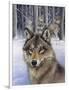 Wolfpack-Harro Maass-Framed Giclee Print