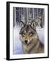 Wolfpack-Harro Maass-Framed Giclee Print