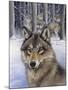 Wolfpack-Harro Maass-Mounted Giclee Print
