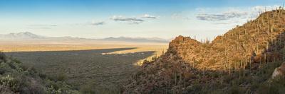 180 Degree Panorama of Sonoran Desert in Arizona at Dawn-Wollwerth Imagery-Photographic Print