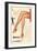 Wolsey Womens Hosiery Stockings Nylons, UK, 1940-null-Framed Giclee Print