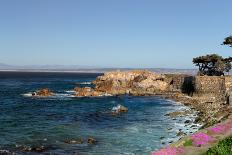 Point Lobos State Natural Reserve-Wolterk-Photographic Print