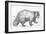 Wolverine (Gulo Gulo), Mustelidae, Drawing-null-Framed Giclee Print