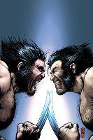 Wolverine No.12 Cover: Wolverine-Darick Robertson-Lamina Framed Poster