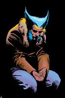 Wolverine No.3 Cover: Wolverine and Logan Flying-Frank Miller-Lamina Framed Poster