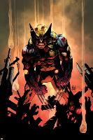 Wolverine No.300 Cover-Adam Kubert-Lamina Framed Poster
