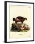 Wolverine-null-Framed Giclee Print