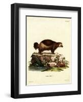 Wolverine-null-Framed Premium Giclee Print