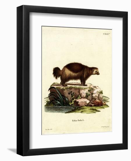 Wolverine-null-Framed Premium Giclee Print