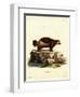 Wolverine-null-Framed Premium Giclee Print