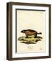 Wolverine-null-Framed Premium Giclee Print