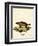 Wolverine-null-Framed Premium Giclee Print