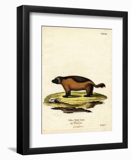 Wolverine-null-Framed Premium Giclee Print