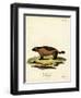 Wolverine-null-Framed Premium Giclee Print