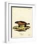 Wolverine-null-Framed Premium Giclee Print