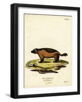 Wolverine-null-Framed Giclee Print