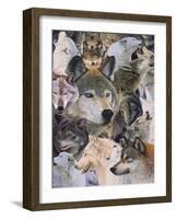 Wolves Alive-Graeme Stevenson-Framed Giclee Print