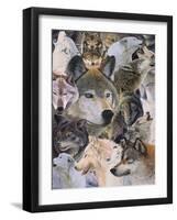 Wolves Alive-Graeme Stevenson-Framed Giclee Print