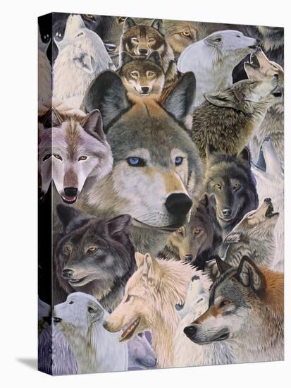 Wolves Alive-Graeme Stevenson-Stretched Canvas