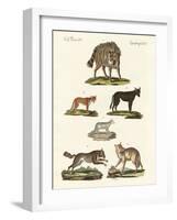 Wolves and Foxes-null-Framed Giclee Print