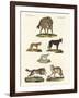 Wolves and Foxes-null-Framed Giclee Print