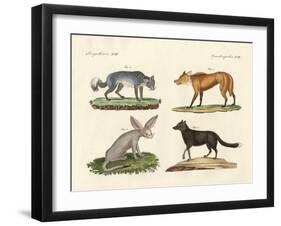 Wolves and Foxes-null-Framed Giclee Print