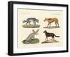 Wolves and Foxes-null-Framed Giclee Print