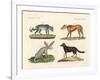 Wolves and Foxes-null-Framed Giclee Print